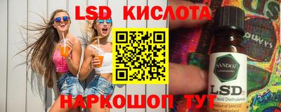 шишки Тара