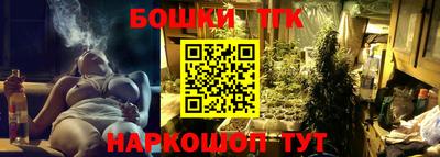шишки Тара