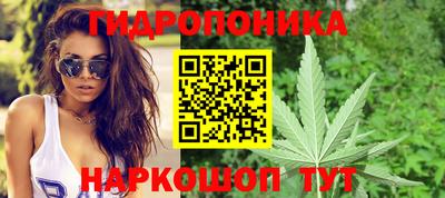 PSILOCYBIN Татарск