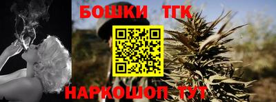 шишки Тара
