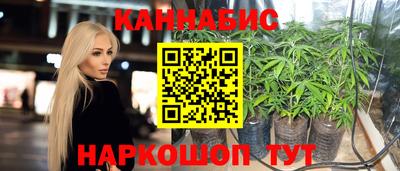 шишки Тара