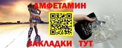 шишки Тара