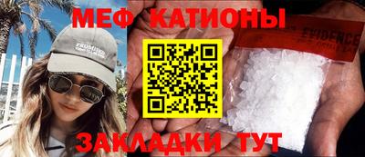 шишки Тара