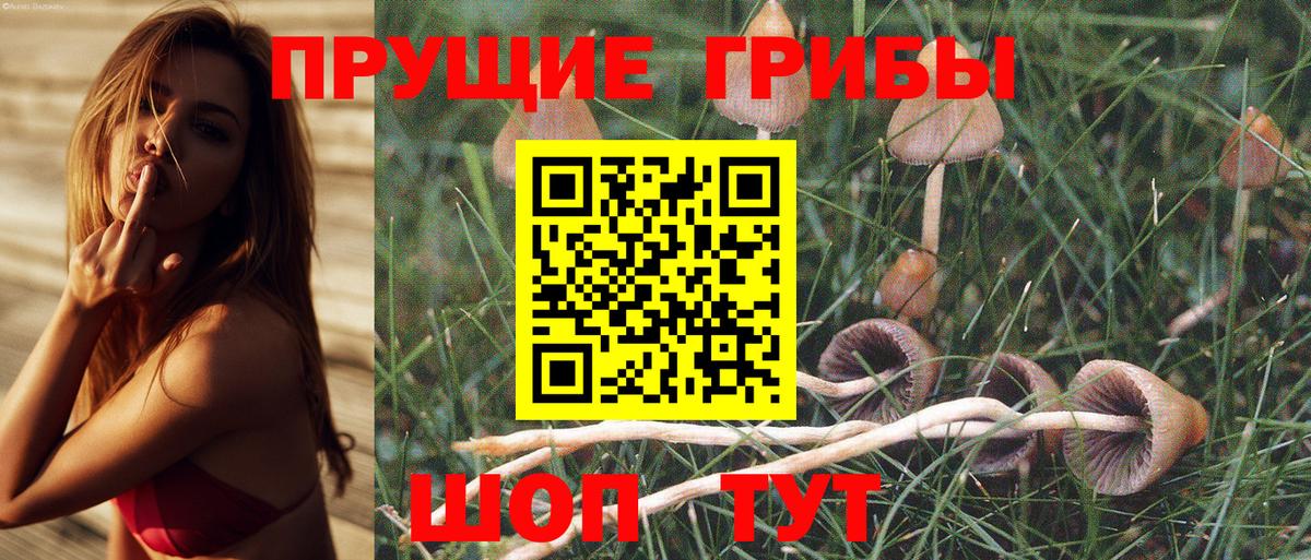 Псилоцибиновые грибы мухоморы  Вход с VPN  Альметьевск  Галлюциногенные грибы мухоморы 